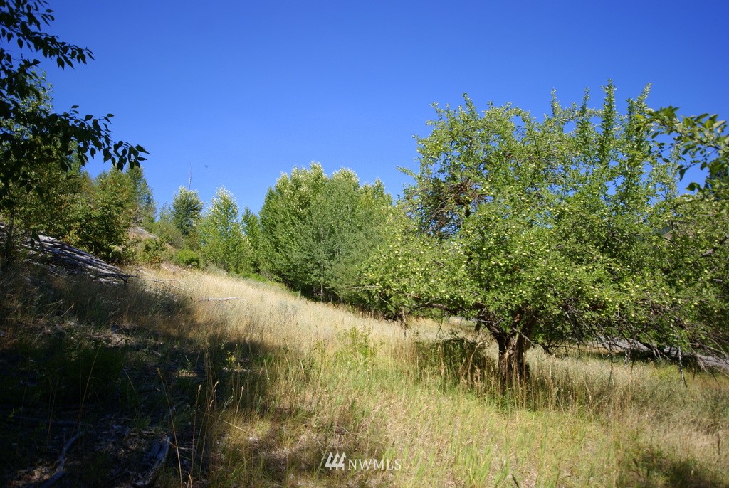 -4 Lot 4-lot Williams Road Winthrop, WA 98862 - Photo 8 of 25 Gallery Image 8