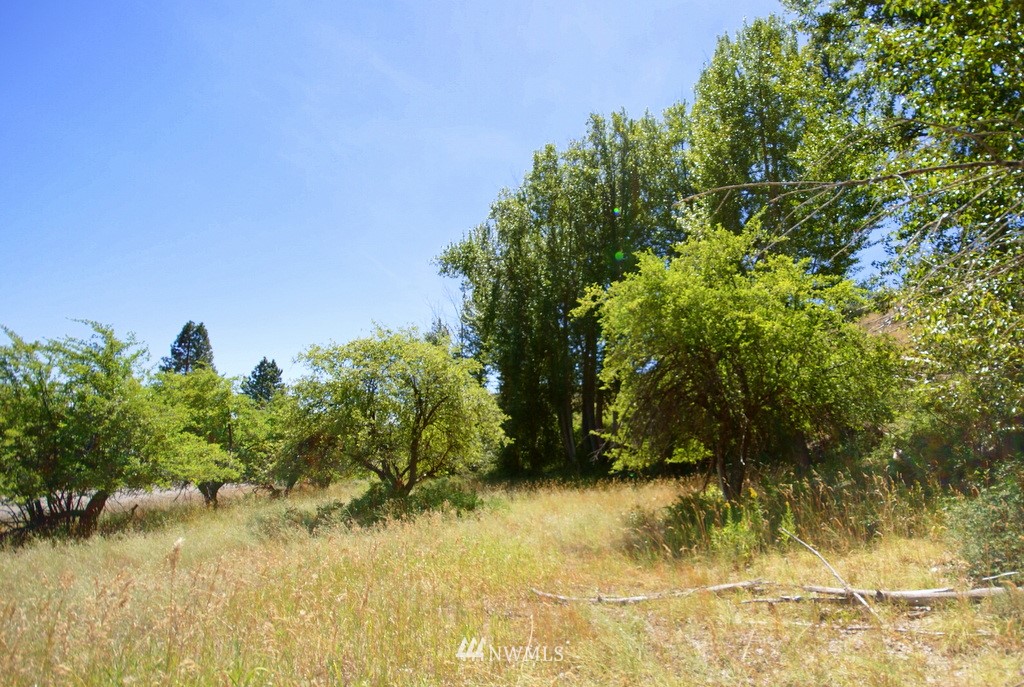 -4 Lot 4-lot Williams Road Winthrop, WA 98862 - Photo 9 of 25 Gallery Image 9