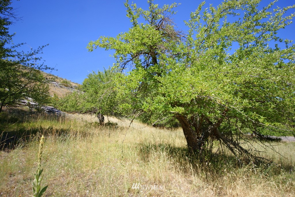 -4 Lot 4-lot Williams Road Winthrop, WA 98862 - Photo 10 of 25 Gallery Image 10