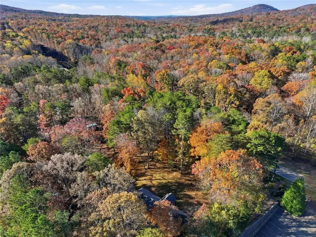 a view of a house with a tree