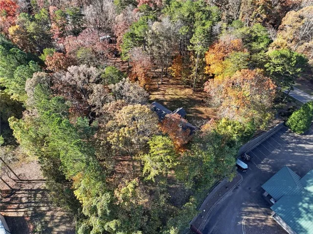 a view of a garden with plants