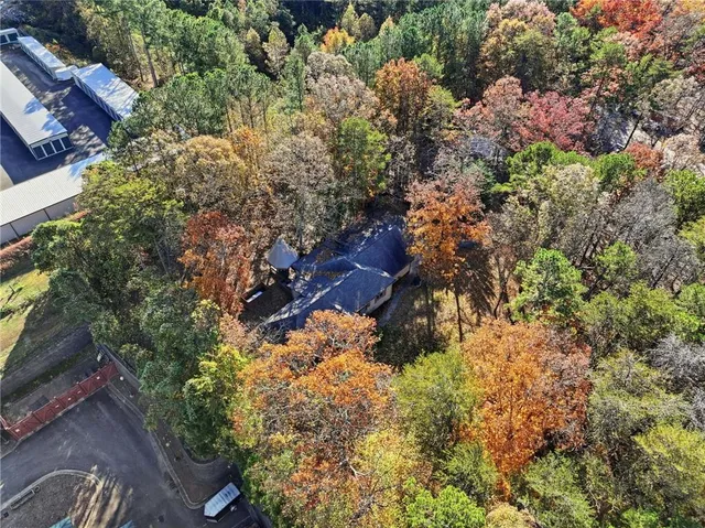 a view of a yard with a tree