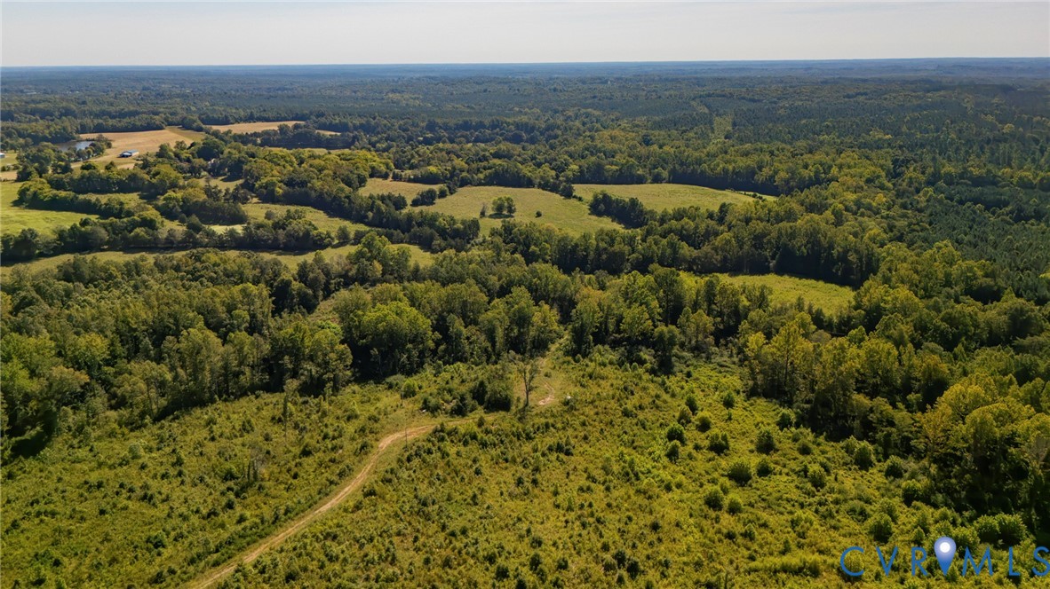 0 Mountain Hall Road Crewe, VA 23930 - Photo 11 of 11 Expansive acreage with mixed woodlands and open fi