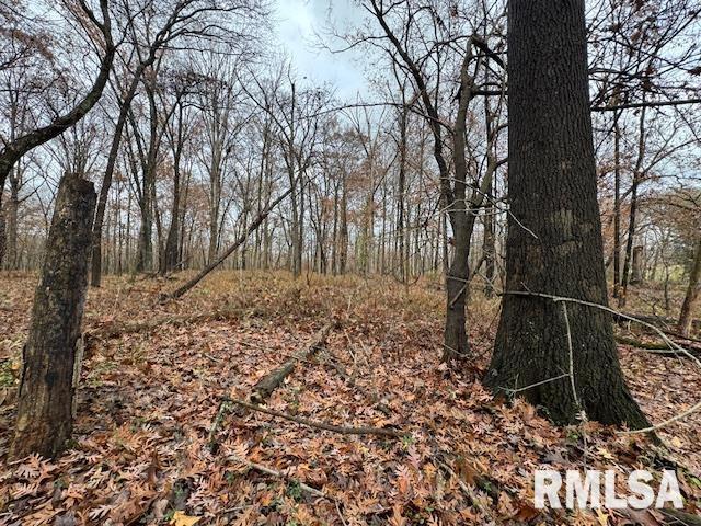 5267 Old North Road Christopher, IL 62822 - Photo 20 of 66 a backyard of a house with lots of green space