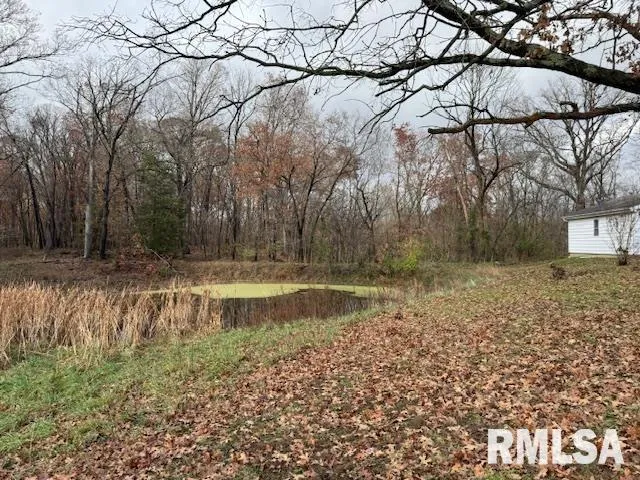 a view of a backyard with large trees