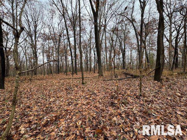 5267 Old North Road Christopher, IL 62822 - Photo 21 of 66 a backyard of a house with lots of green space