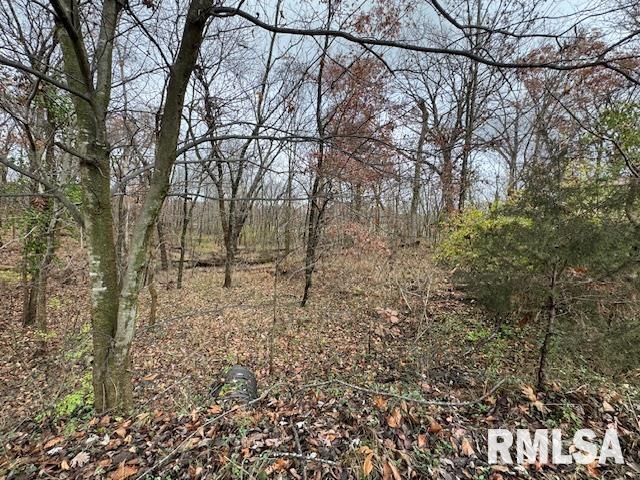 5267 Old North Road Christopher, IL 62822 - Photo 25 of 66 a backyard of a house with lots of green space
