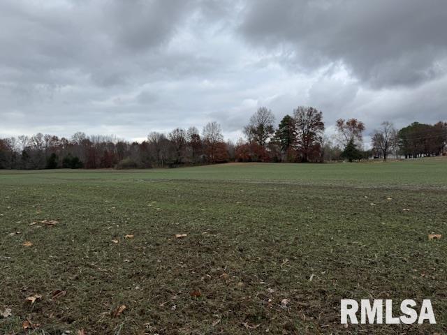 5267 Old North Road Christopher, IL 62822 - Photo 33 of 66 a view of a field with an trees in the background