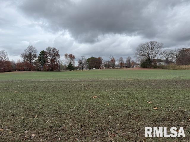 5267 Old North Road Christopher, IL 62822 - Photo 34 of 66 a view of a green field