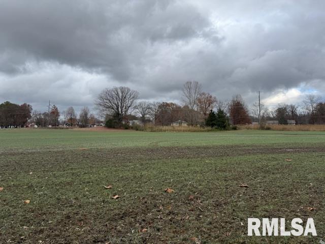 5267 Old North Road Christopher, IL 62822 - Photo 35 of 66 a view of a green field