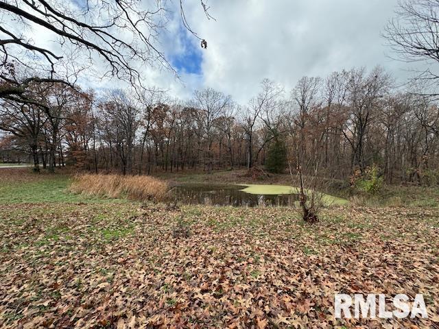 5267 Old North Road Christopher, IL 62822 - Photo 5 of 66 a view of a lake with a yard