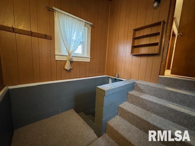 5267 Old North Road Christopher, IL 62822 - Photo 55 of 66