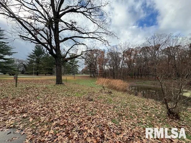a view of a yard with a large tree