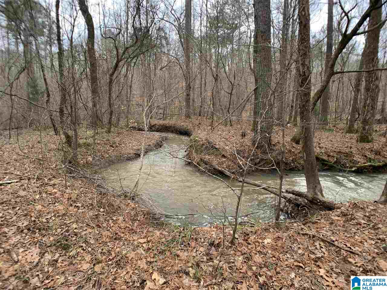 0 Possum Trot Road Piedmont, AL 36272 - Photo 5 of 13