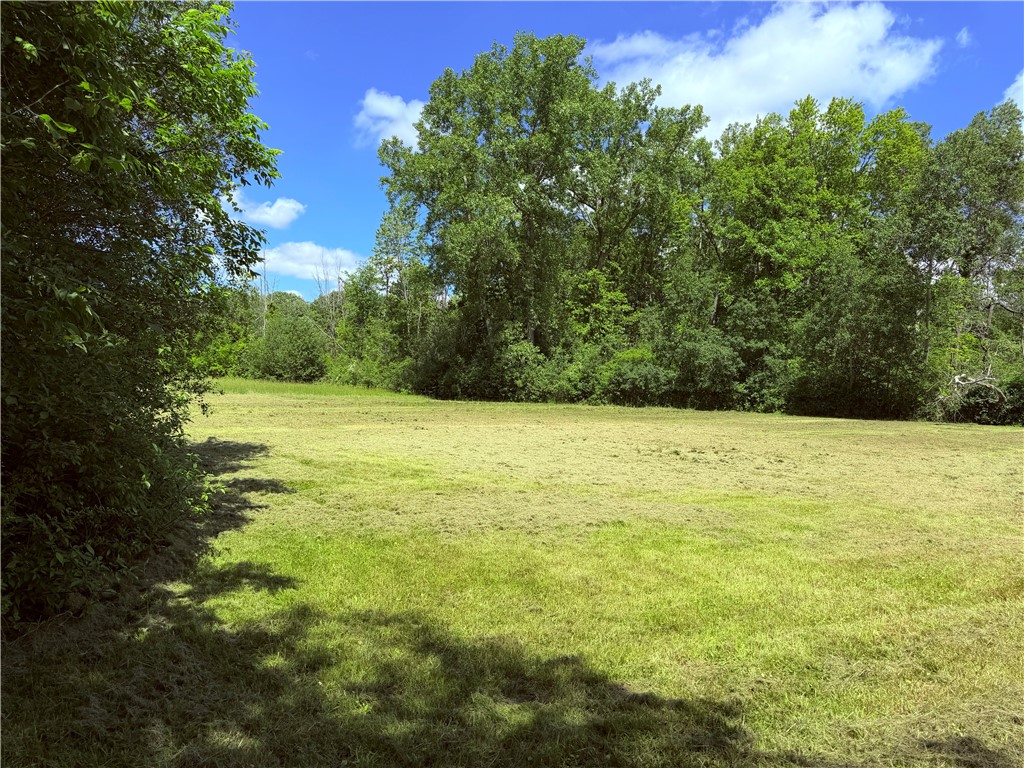 894 Ladue Road Sweden, NY 14420 - Photo 7 of 15
