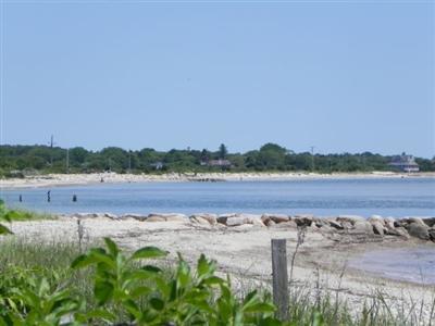 16 F R Lillie Road Woods Hole, MA 02543 - Photo 15 of 19 a view of a lake with a yard and large trees