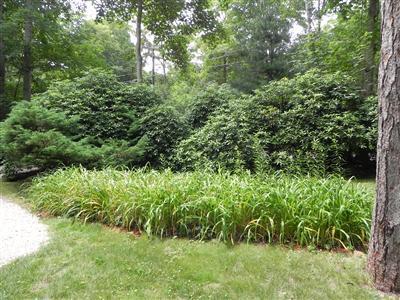 16 F R Lillie Road Woods Hole, MA 02543 - Photo 10 of 19 a view of a garden