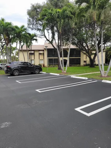 a view of a large trees with a big yard