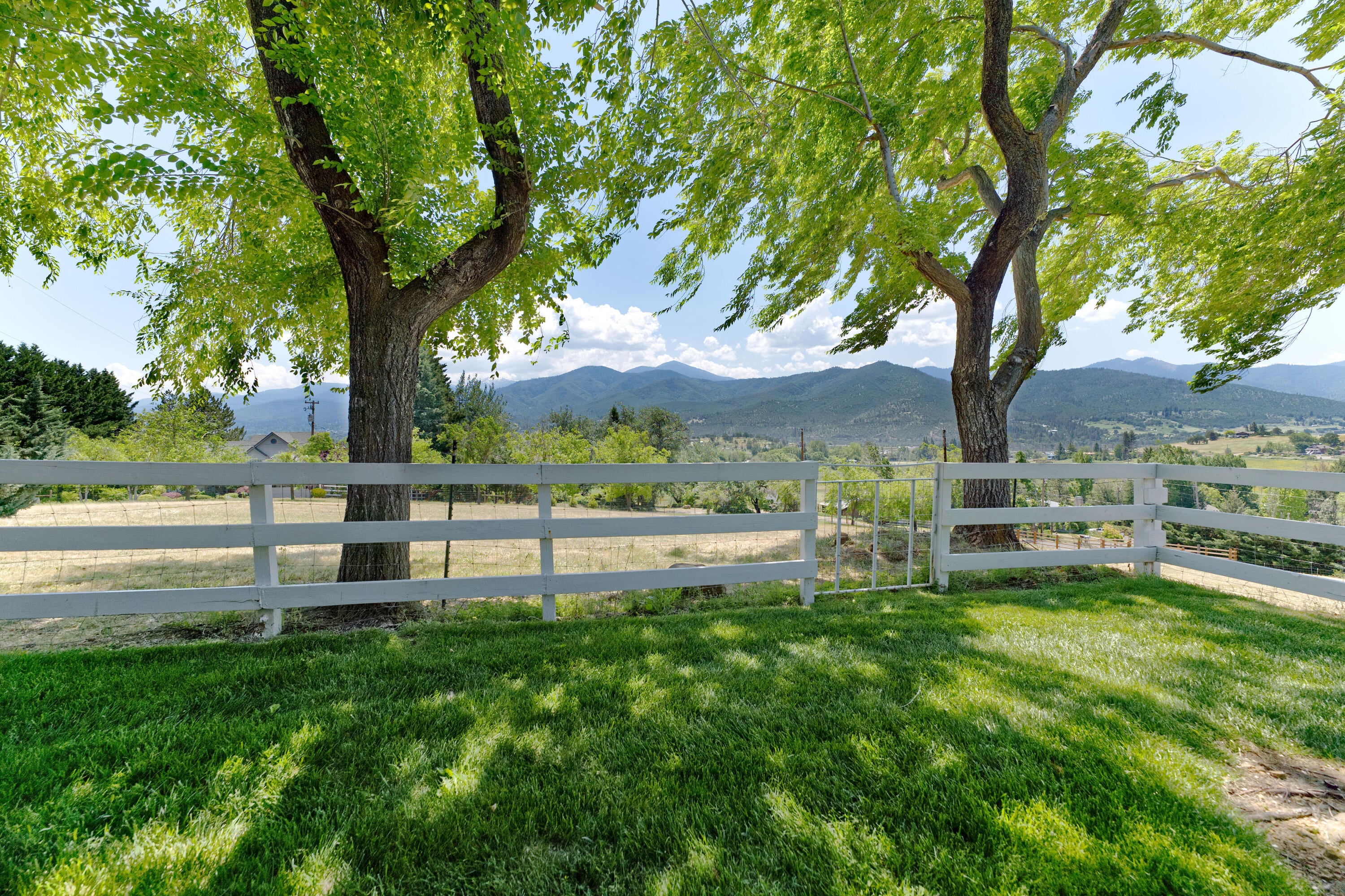 349 Wilson Road Ashland, OR 97520 - Photo 13 of 34 Front Yard and Elm Trees mls