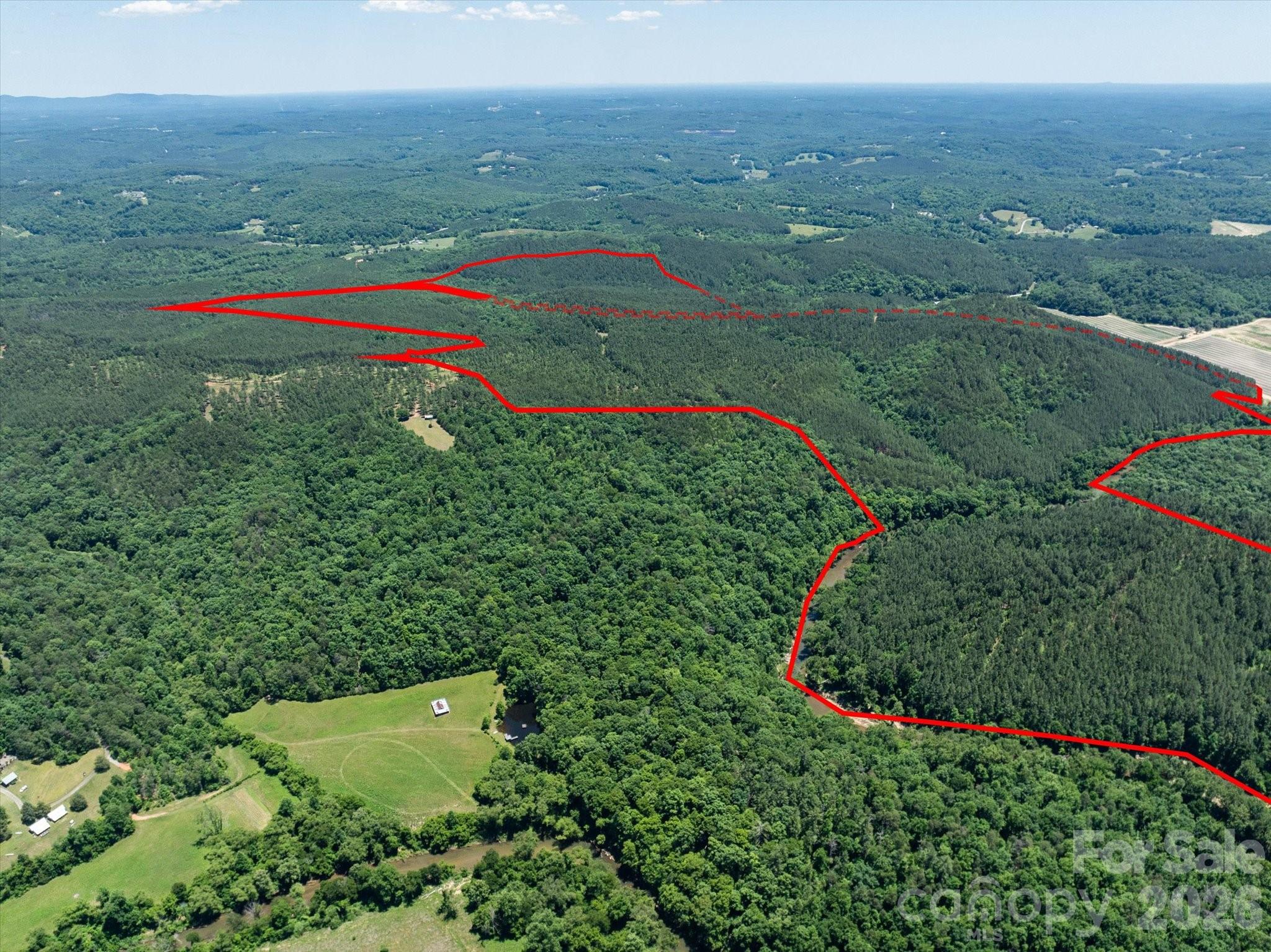 99999 Thompson Lake Road Rutherfordton, NC 28139 - Photo 4 of 24