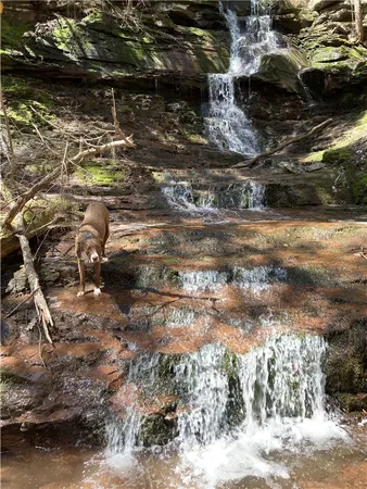 $540,000 | 48359 Highway 10, Delhi, NY 13753