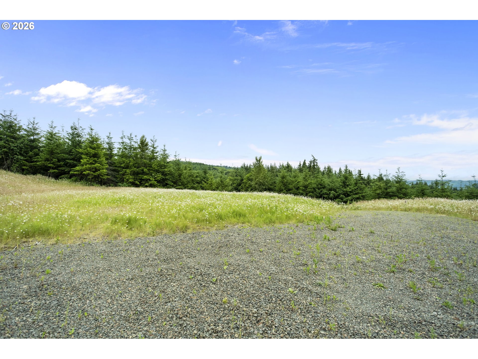 104 Bootjack Lane Kelso, WA 98626 - Photo 8 of 31 Acreage