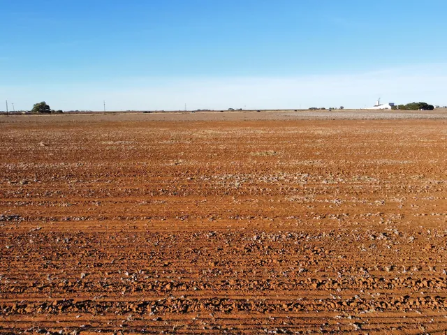 a view of outdoor space with wooden floor and yard