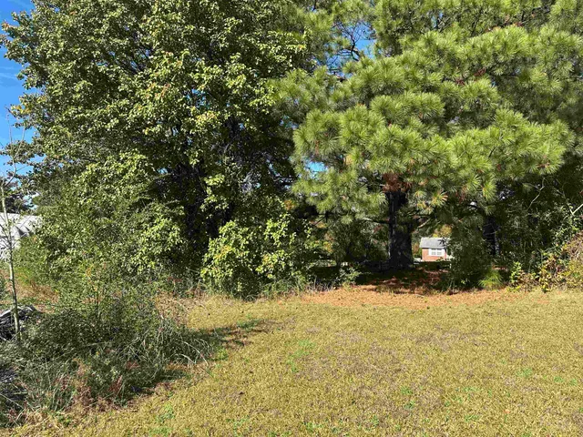 a view of yard with green space
