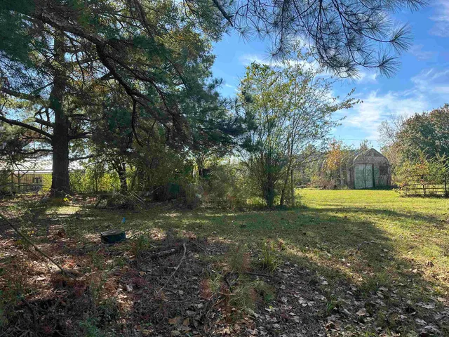 a view of a yard with large trees