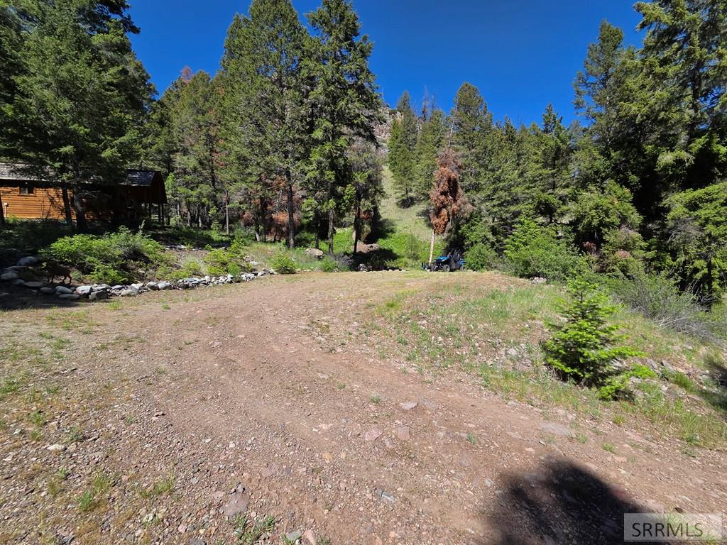 21 Pinetree Drive Salmon, ID 83467 - Photo 47 of 71