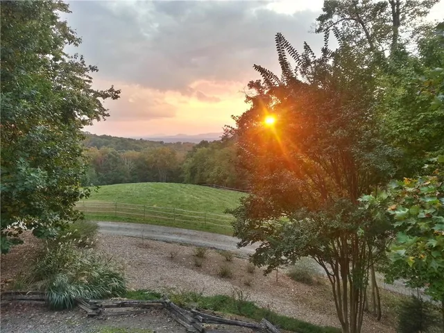 a view of a yard with a tree