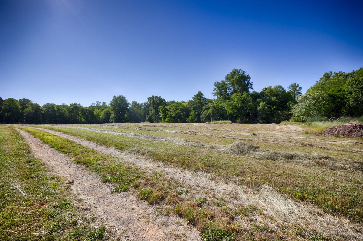 1028 B Pettus Road Harvest, AL 35749 - Photo 8 of 8