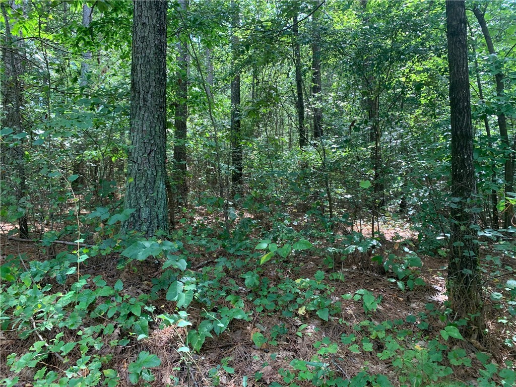 Lot 122 Inwood Court Seneca, SC 29672 - Photo 1 of 20 Gallery Image 1