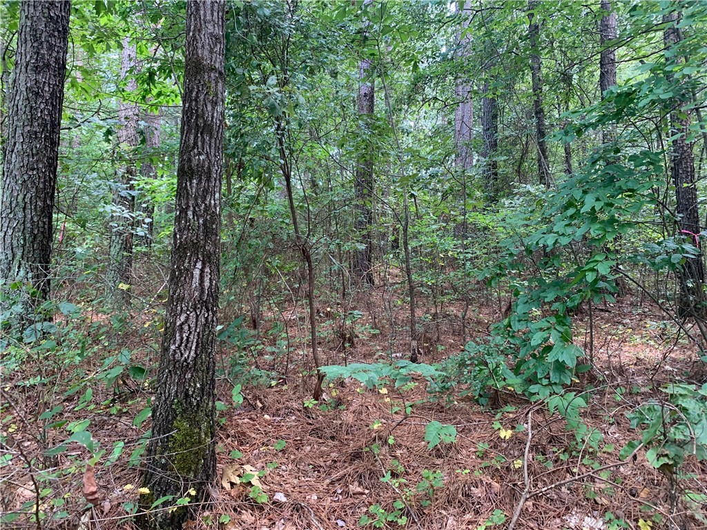 Lot 122 Inwood Court Seneca, SC 29672 - Photo 2 of 20 Gallery Image 2