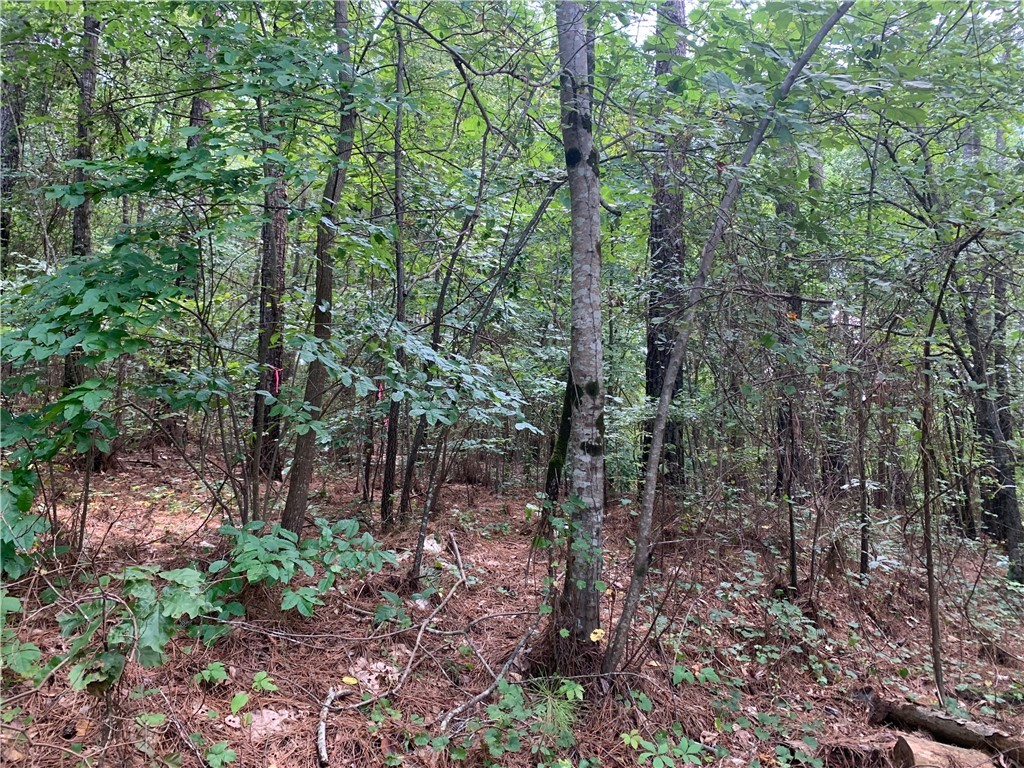 Lot 122 Inwood Court Seneca, SC 29672 - Photo 3 of 20 Gallery Image 3