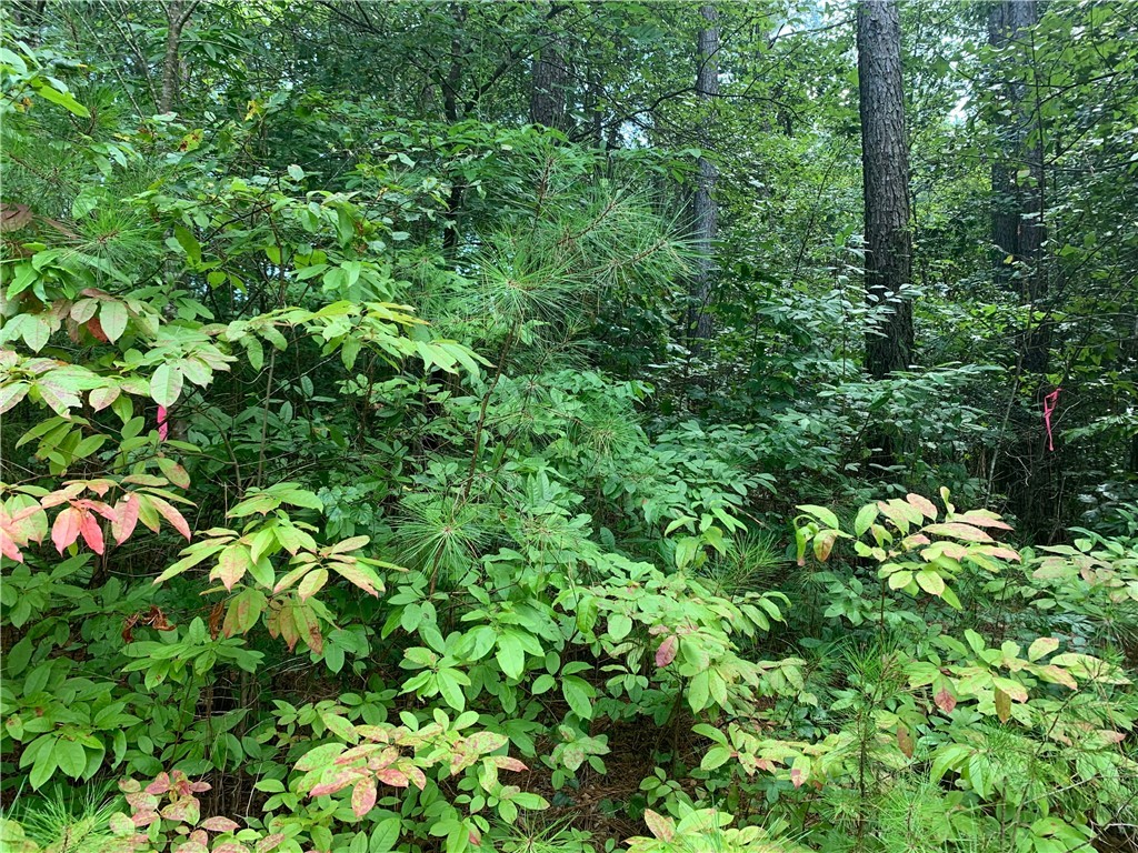 Lot 122 Inwood Court Seneca, SC 29672 - Photo 4 of 20 Gallery Image 4