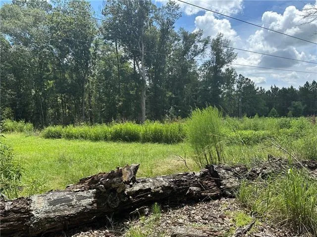 $129,900 | 59124 Puleston Road, Amite, LA 70422