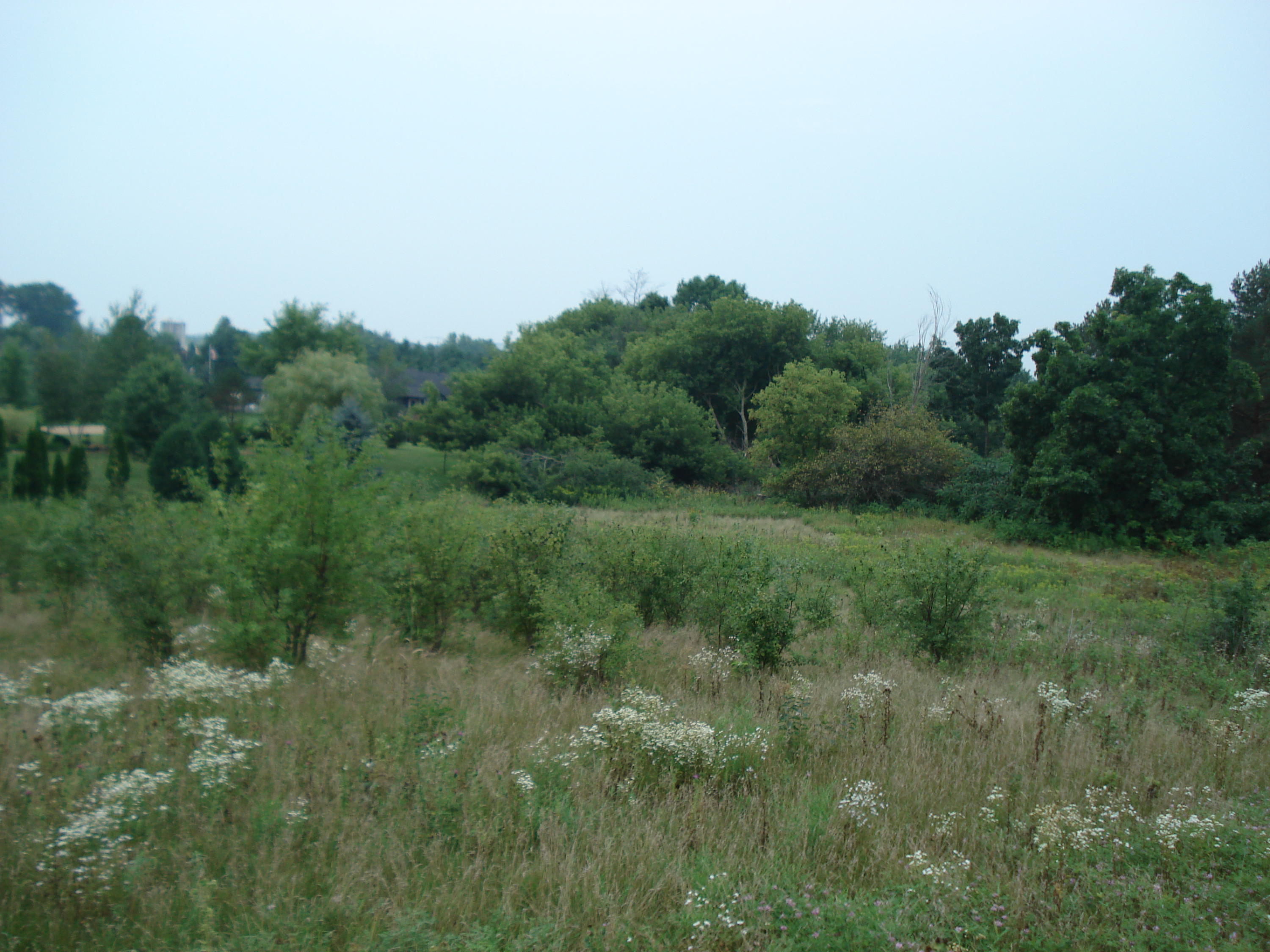 Land