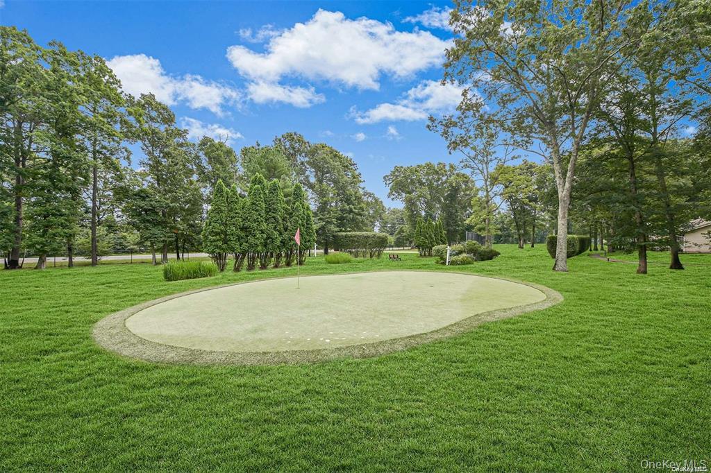 248 Newcastle Court, Unit A Ridge, NY 11961 - Photo 35 of 40