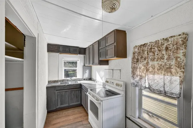 a backyard of a house with plants and large trees