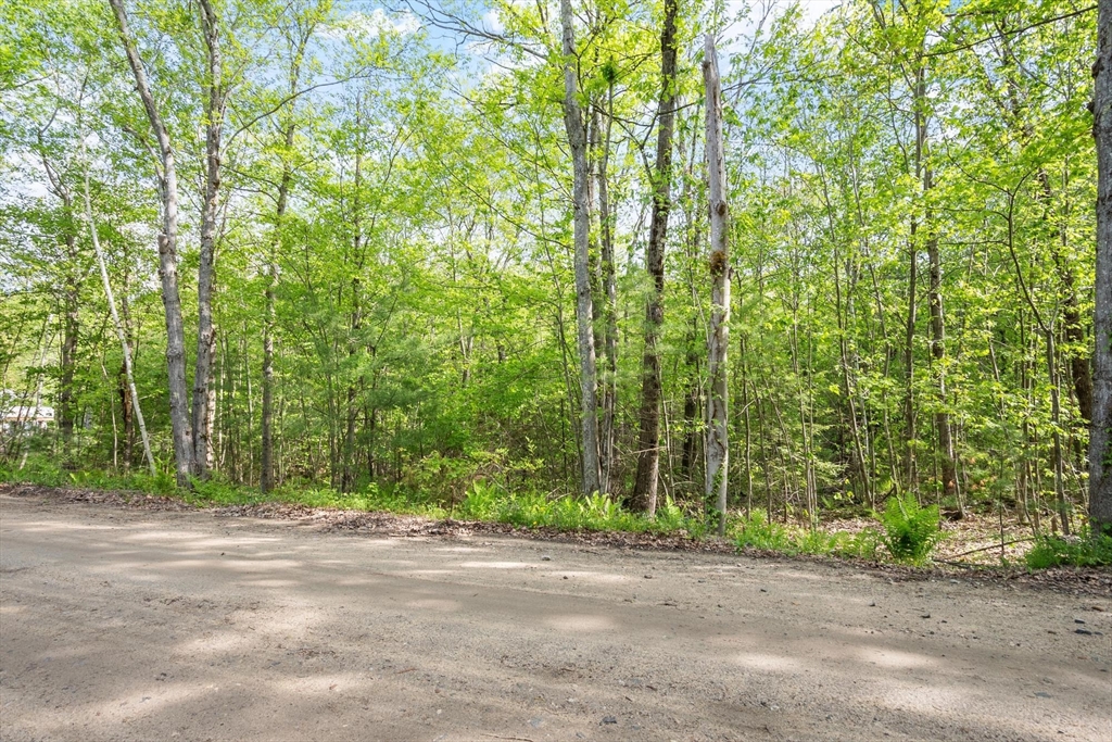 0 Whitney Road Ashby, MA 01431 - Photo 1 of 14