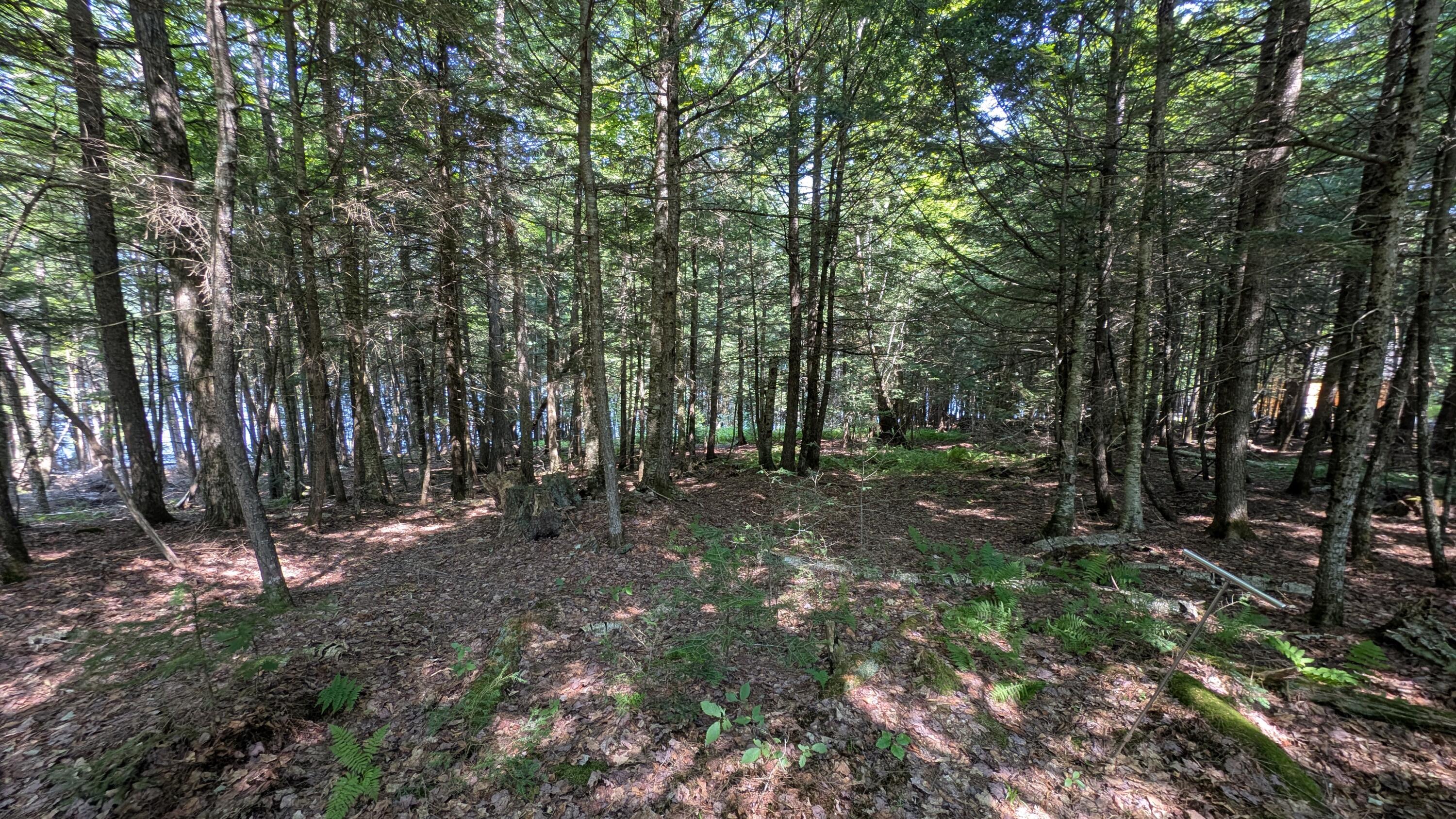 Lot #8 Kolm Road Garland, ME 04939 - Photo 3 of 4 1000011011