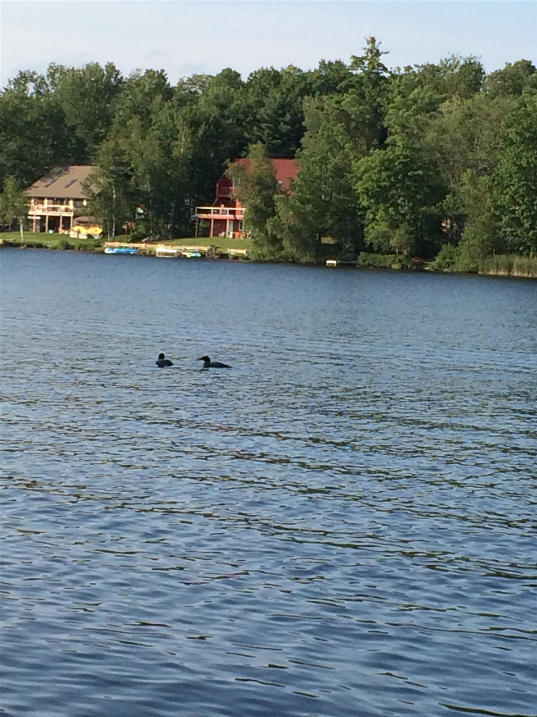 206 Varney Road Barnstead, NH 03225 - Photo 26 of 40