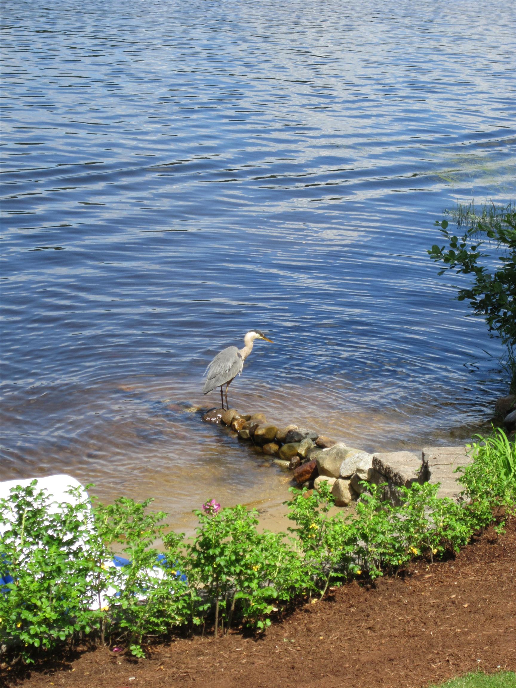 206 Varney Road Barnstead, NH 03225 - Photo 32 of 40