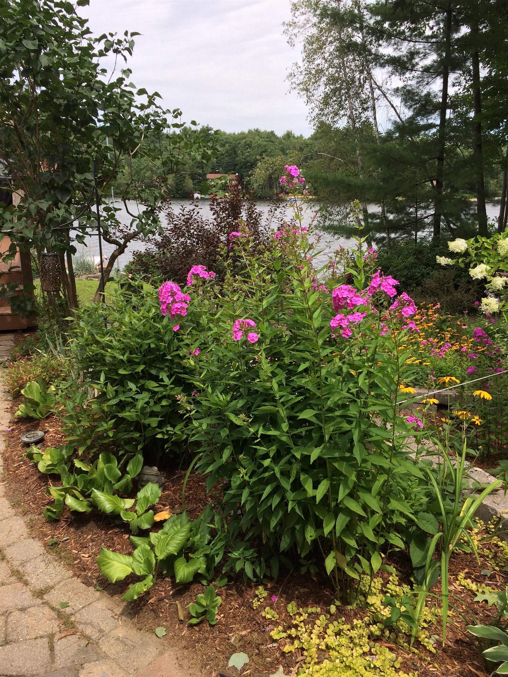 206 Varney Road Barnstead, NH 03225 - Photo 37 of 40