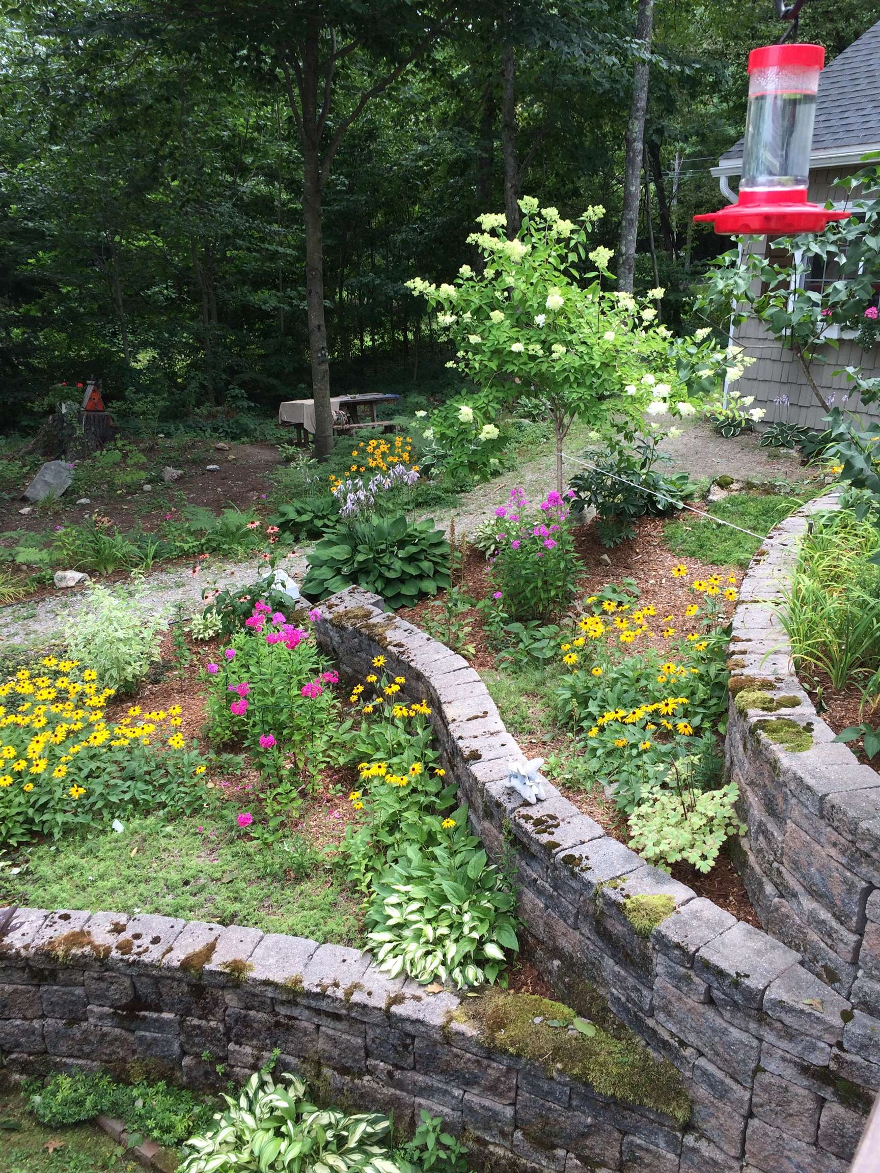 206 Varney Road Barnstead, NH 03225 - Photo 8 of 40