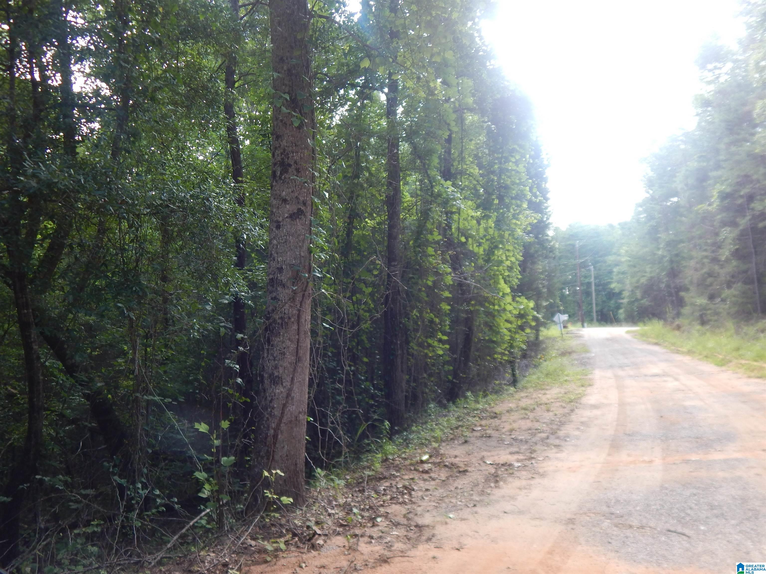 474 Caffee Creek Road Woodstock, AL 35188 - Photo 12 of 21