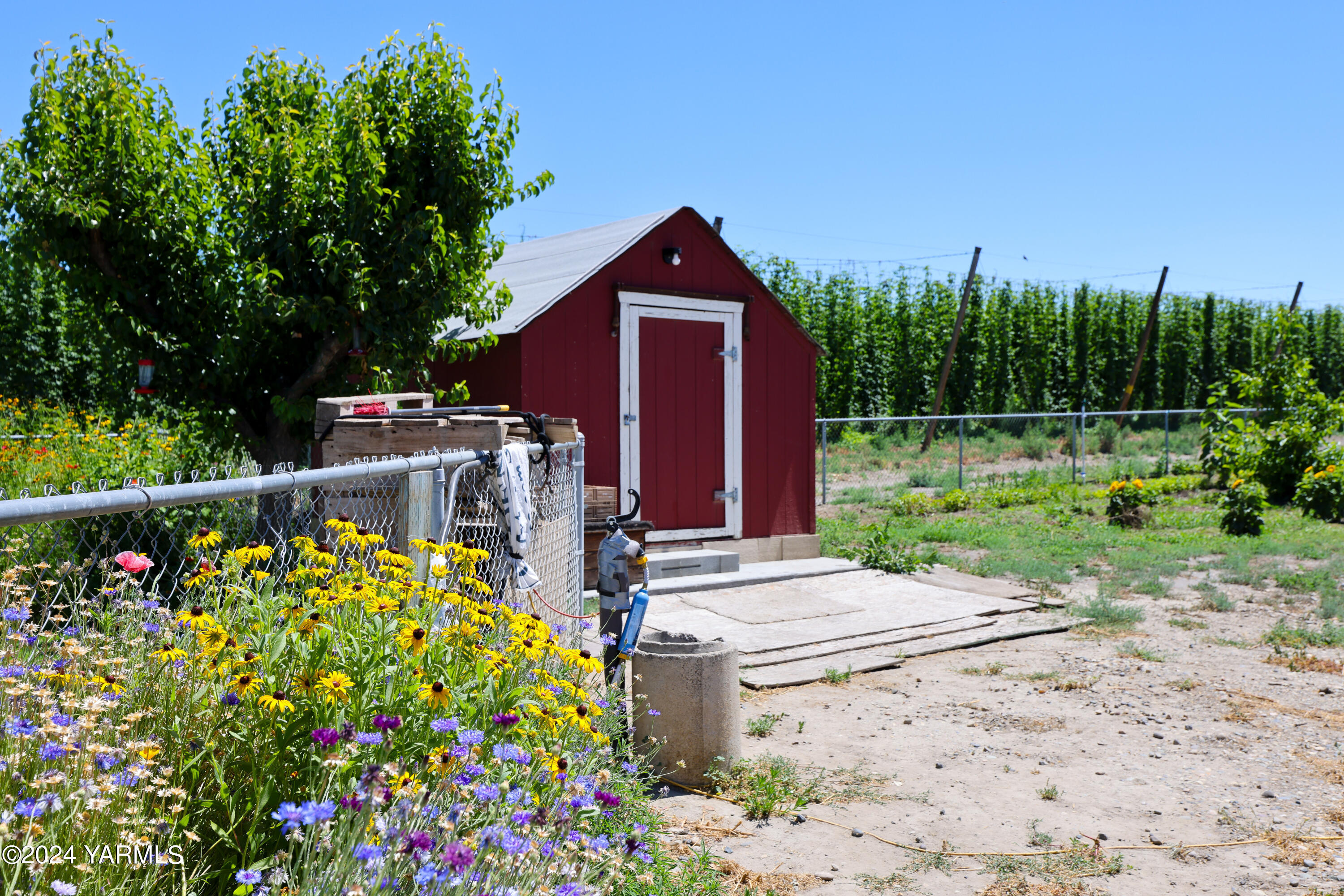 2200 Forsell Road Grandview, WA 98930 - Photo 23 of 30 Storage shed