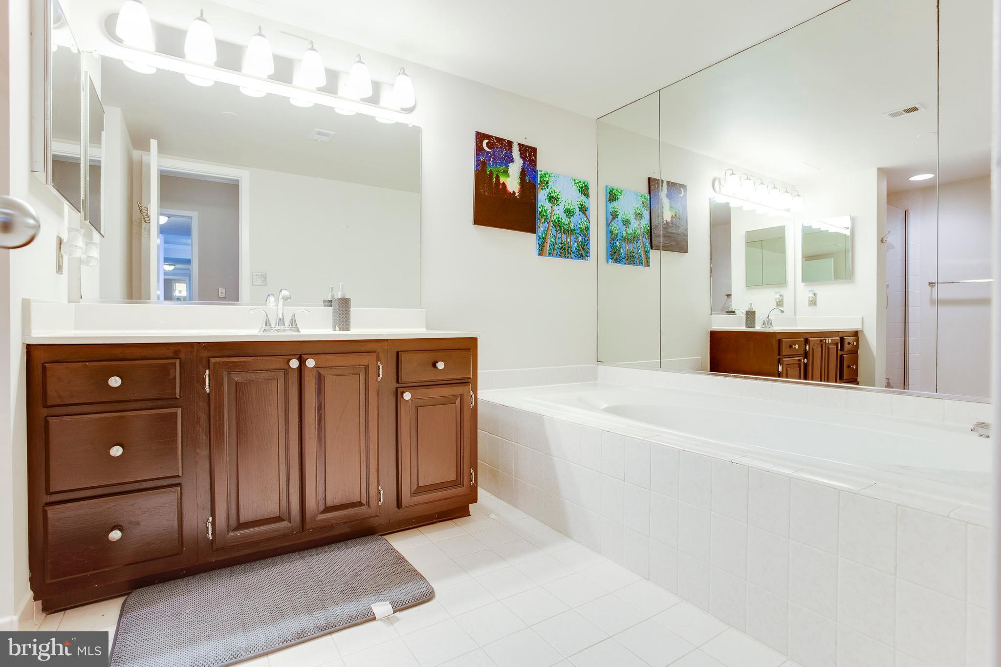 5505 Seminary Road, Unit 2211N Falls Church, VA 22041 - Photo 16 of 30 a spacious bathroom with a tub sink and mirror