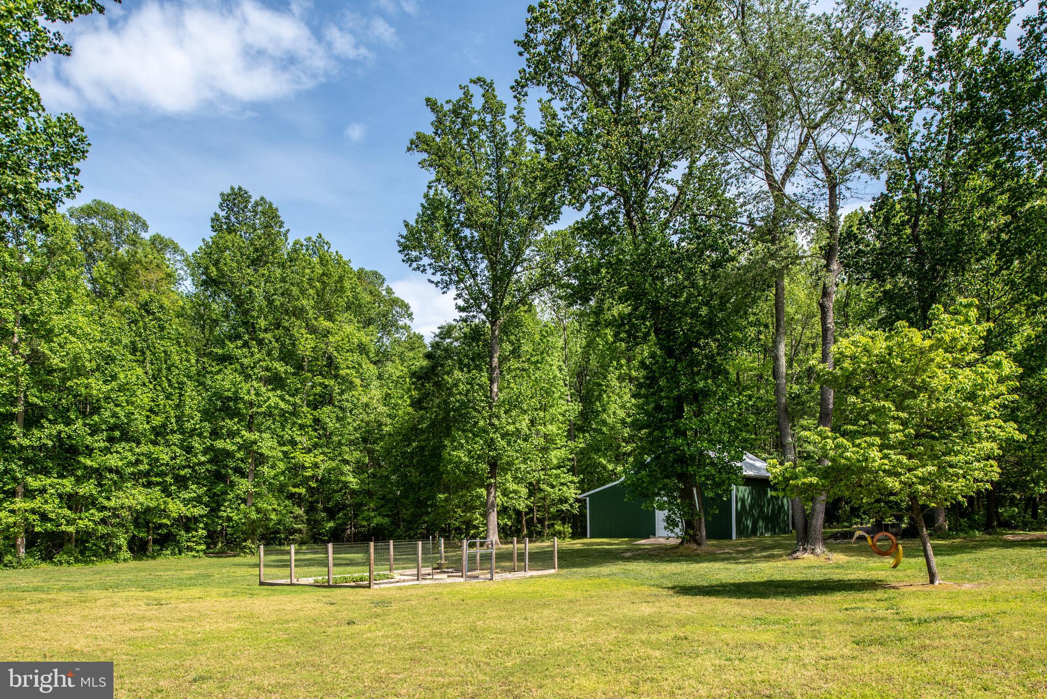14180 Round Hill Road King George, VA 22485 - Photo 54 of 59 Backyard View